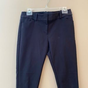 Ann Taylor Loft Petite Skinny Ankle Pants
